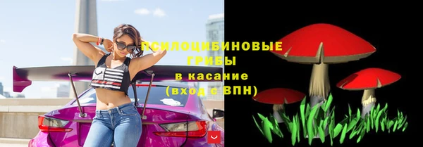 гидропоника Белокуриха