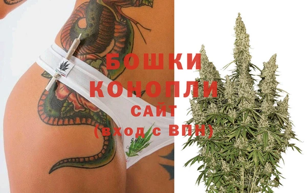 гидропоника Белокуриха
