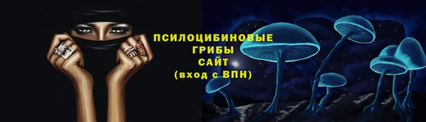 гидропоника Белокуриха