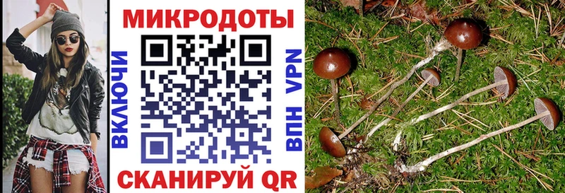 Псилоцибиновые грибы прущие грибы  Курильск 